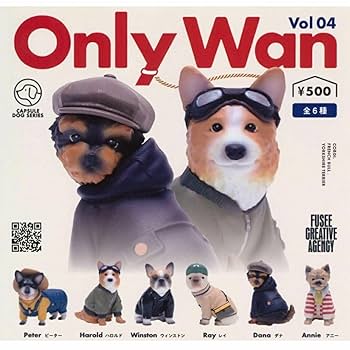 うぃるそん　まとめ買い品　4点 楽天市場】アゾン Alvastaria ラヴィ～猫怪盗を追え